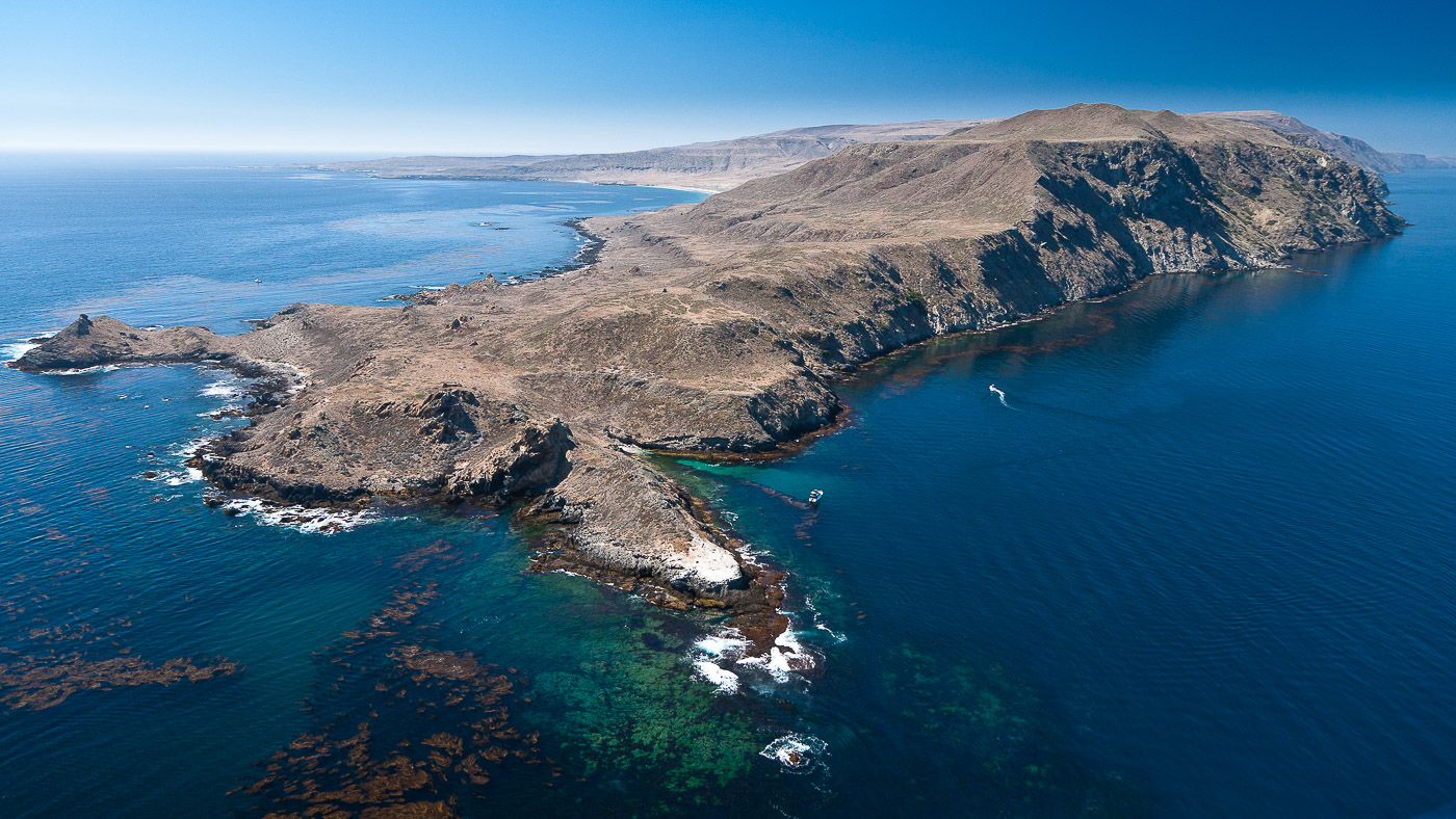 San Clemente Island, Pyramid Head and kelp forest, aerial photo, California San Clemente Island, Pyramid Head and kelp forest, aerial photo, California